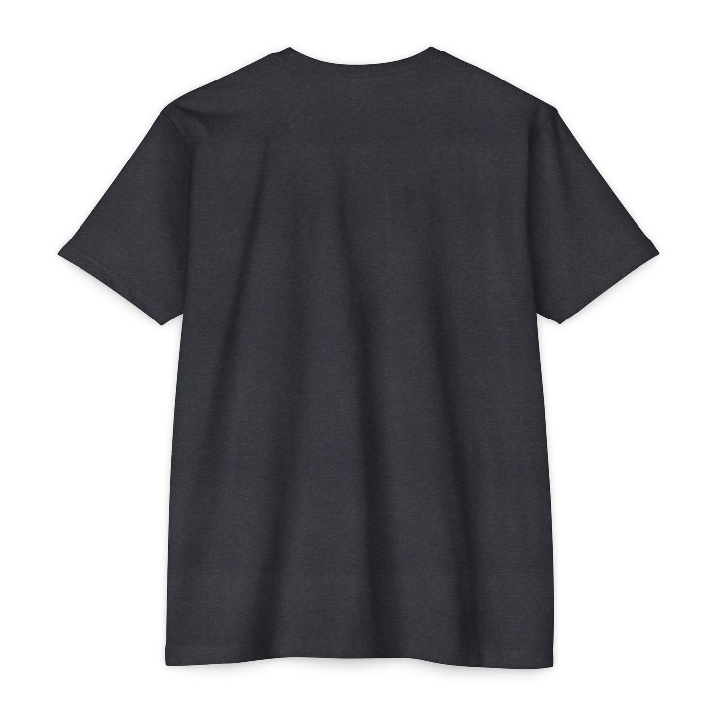 Air Assault Skull Wings T-Shirt — Military Airborne Paratrooper Tee