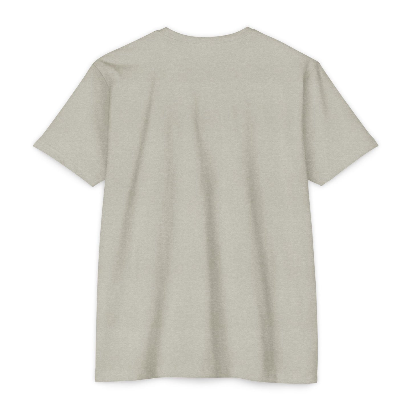 Air Assault Skull Wings T-Shirt — Military Airborne Paratrooper Tee