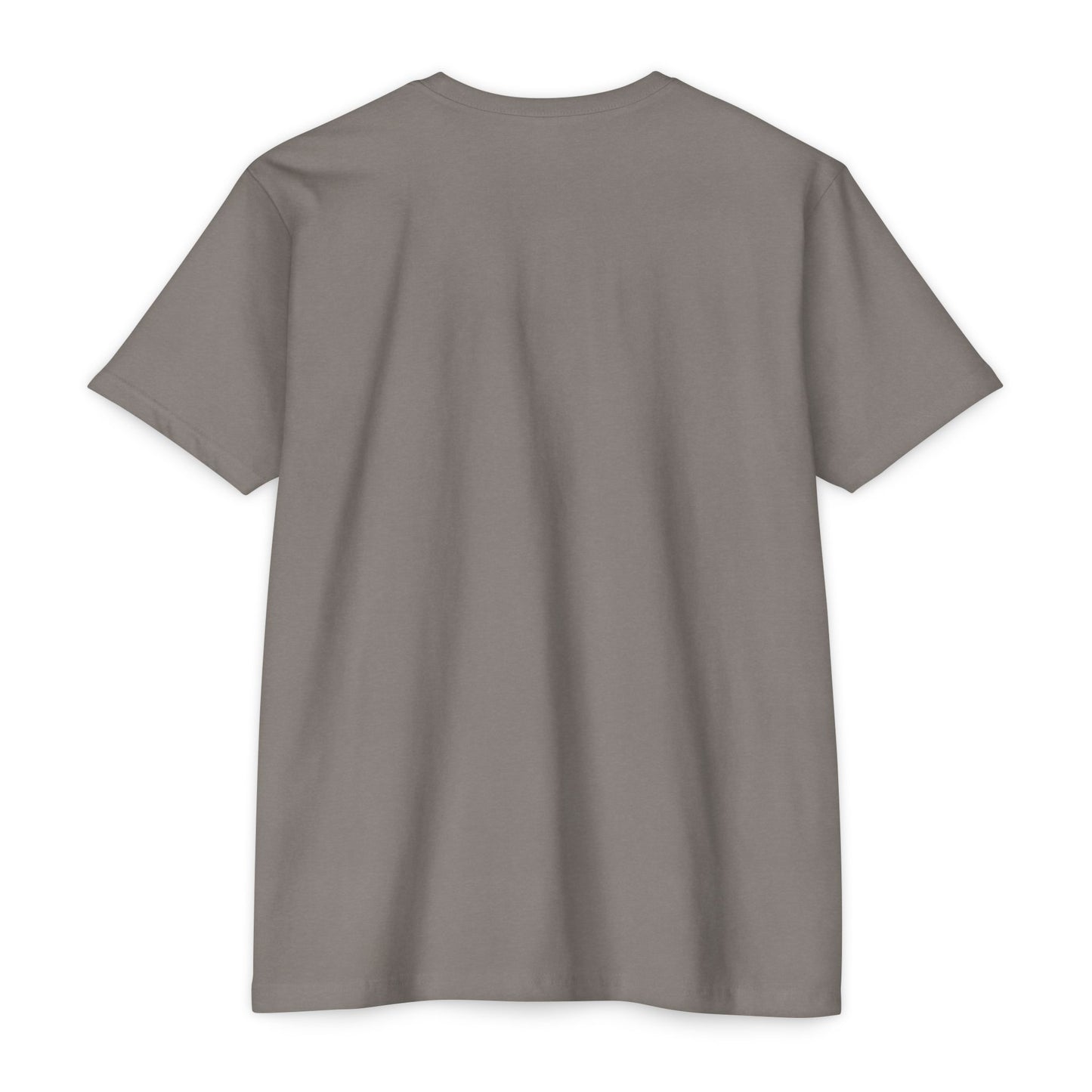 Air Assault Skull Wings T-Shirt — Military Airborne Paratrooper Tee