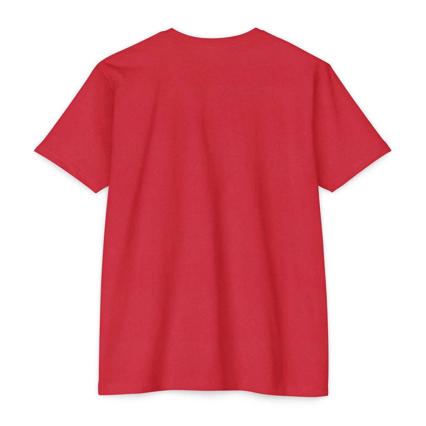 Air Assault Skull Wings T-Shirt — Military Airborne Paratrooper Tee
