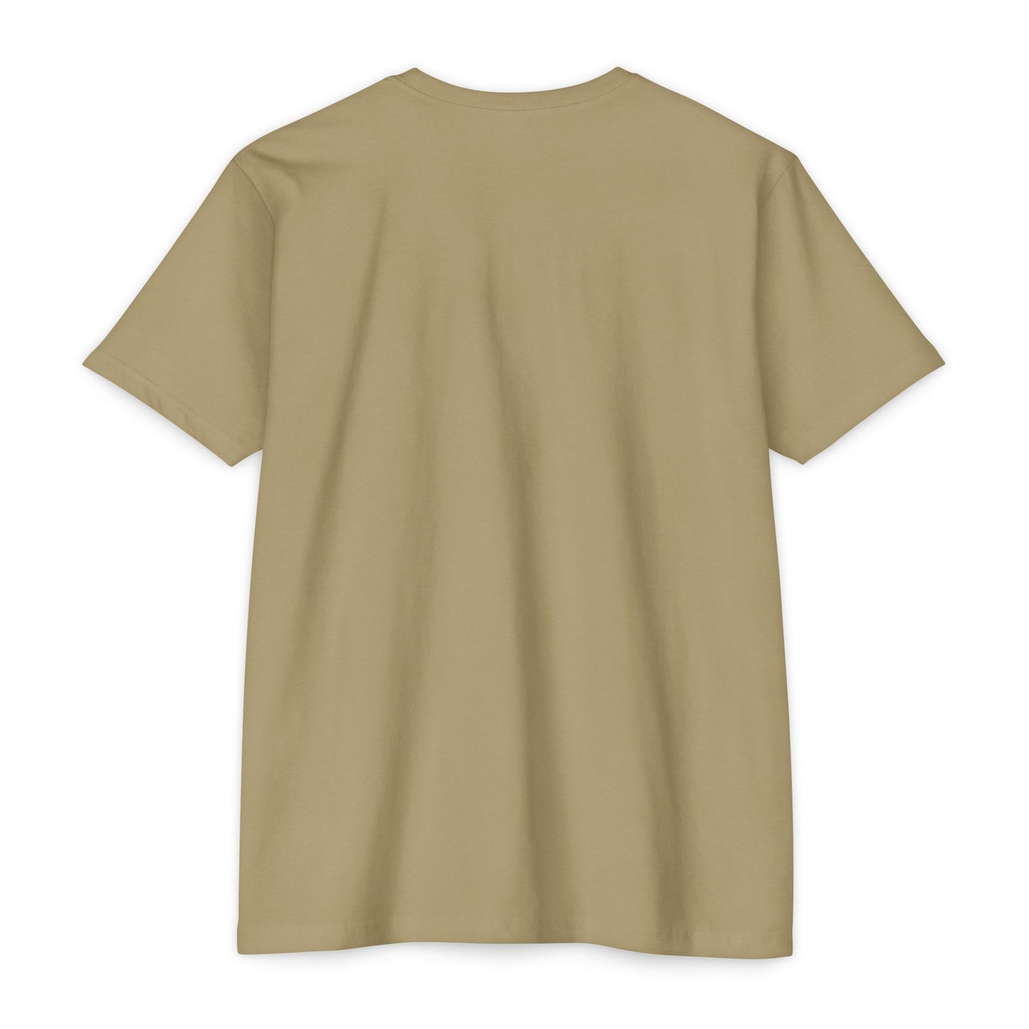 Air Assault Skull Wings T-Shirt — Military Airborne Paratrooper Tee
