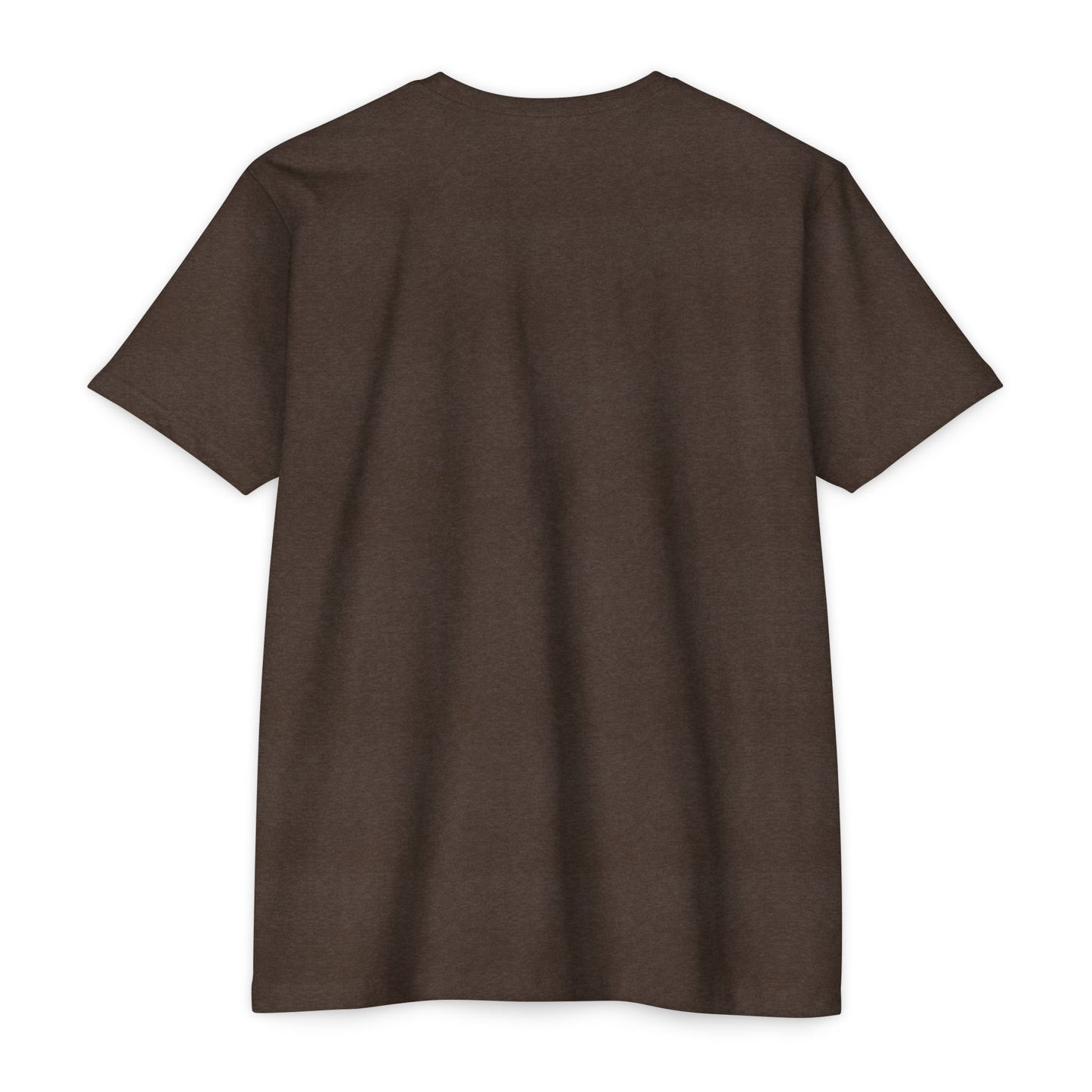 Air Assault Skull Wings T-Shirt — Military Airborne Paratrooper Tee
