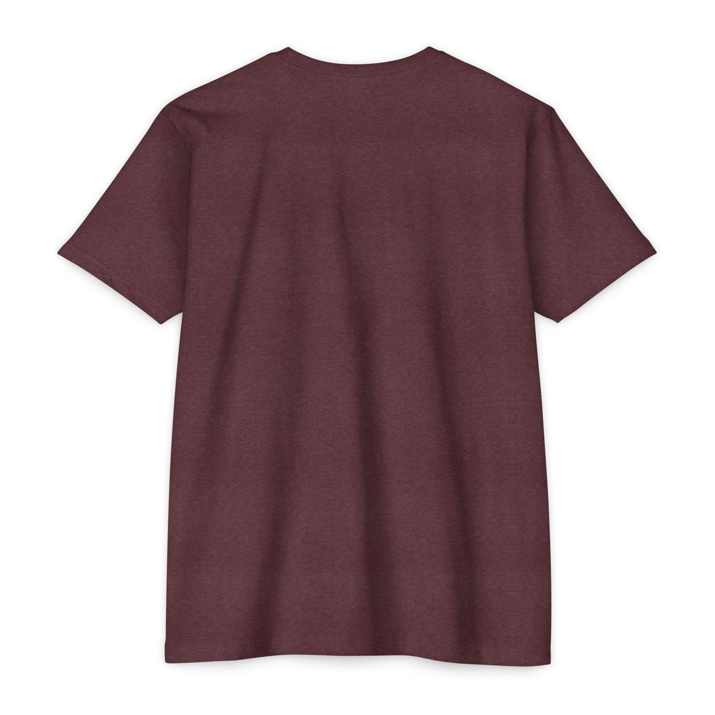 Air Assault Skull Wings T-Shirt — Military Airborne Paratrooper Tee