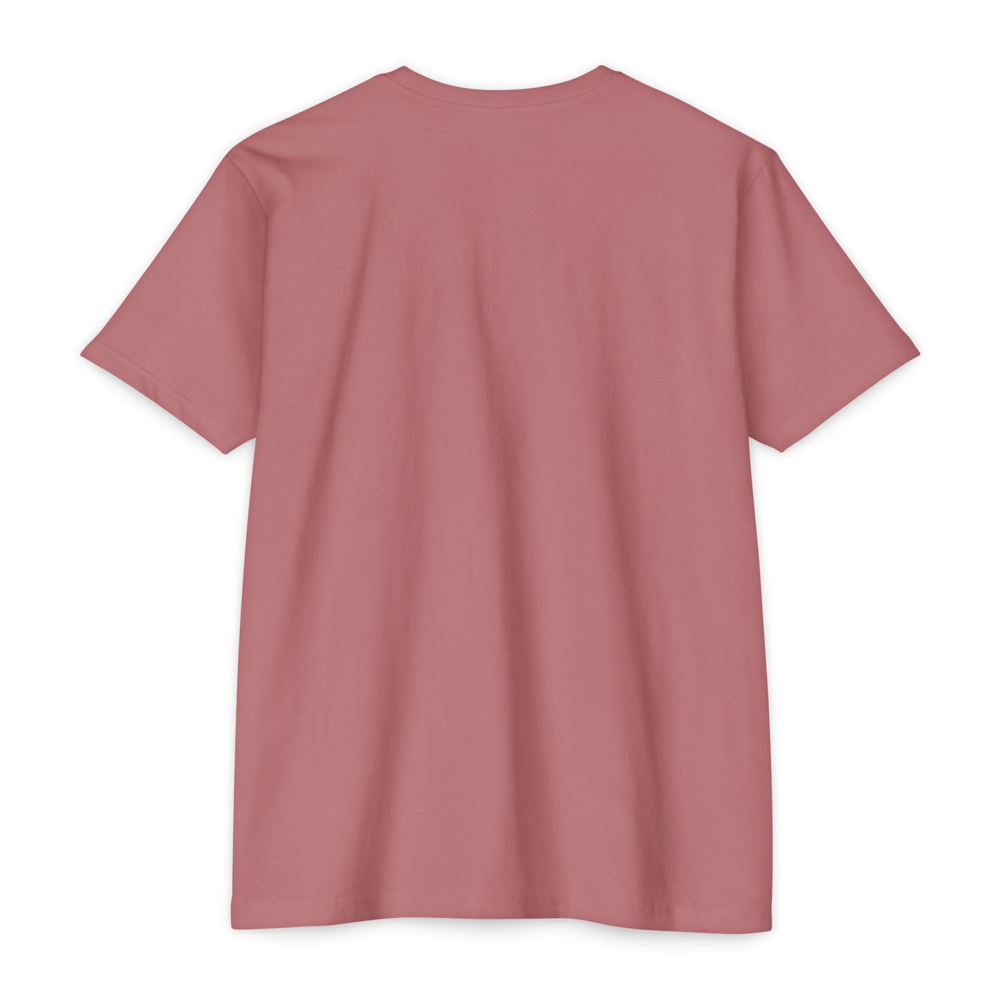 Air Assault Skull Wings T-Shirt — Military Airborne Paratrooper Tee