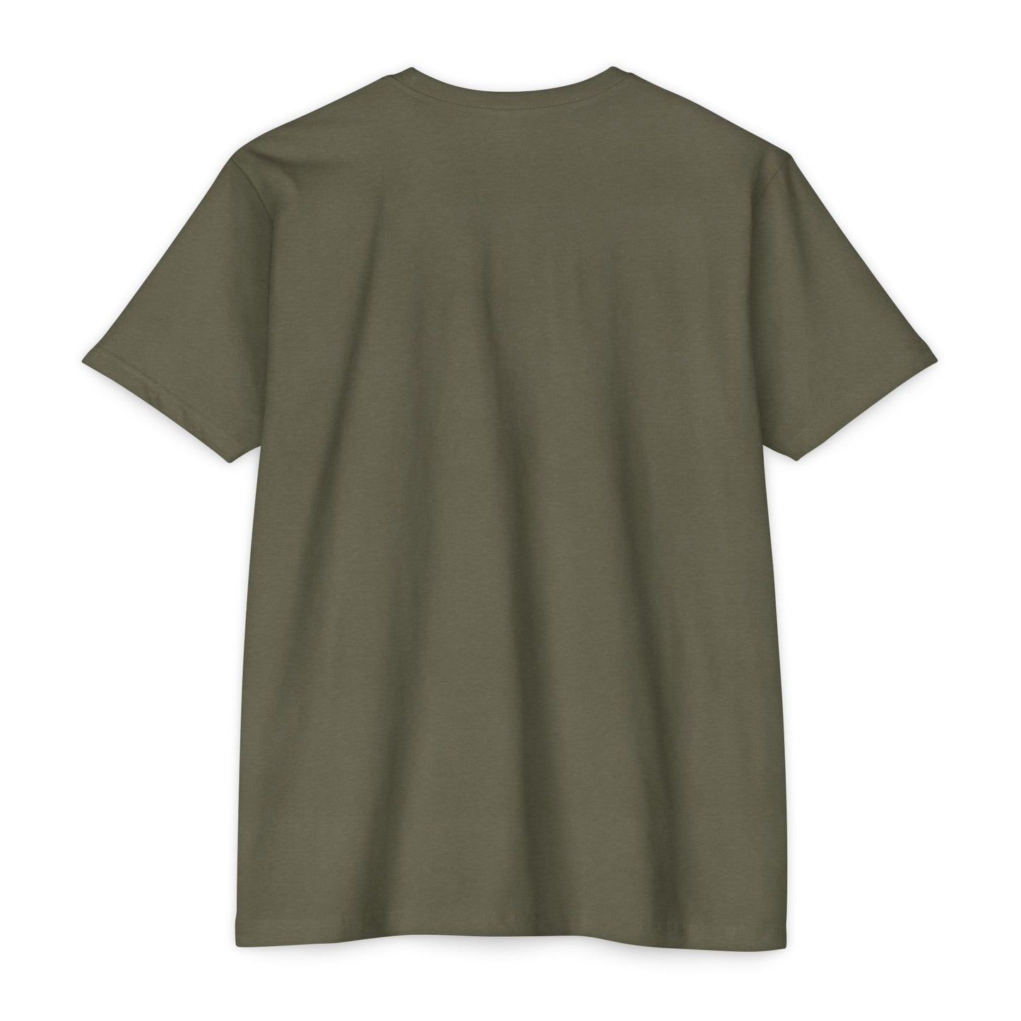 Air Assault Skull Wings T-Shirt — Military Airborne Paratrooper Tee