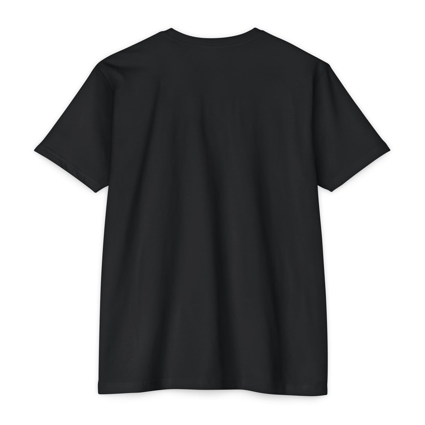Air Assault Skull Wings T-Shirt — Military Airborne Paratrooper Tee