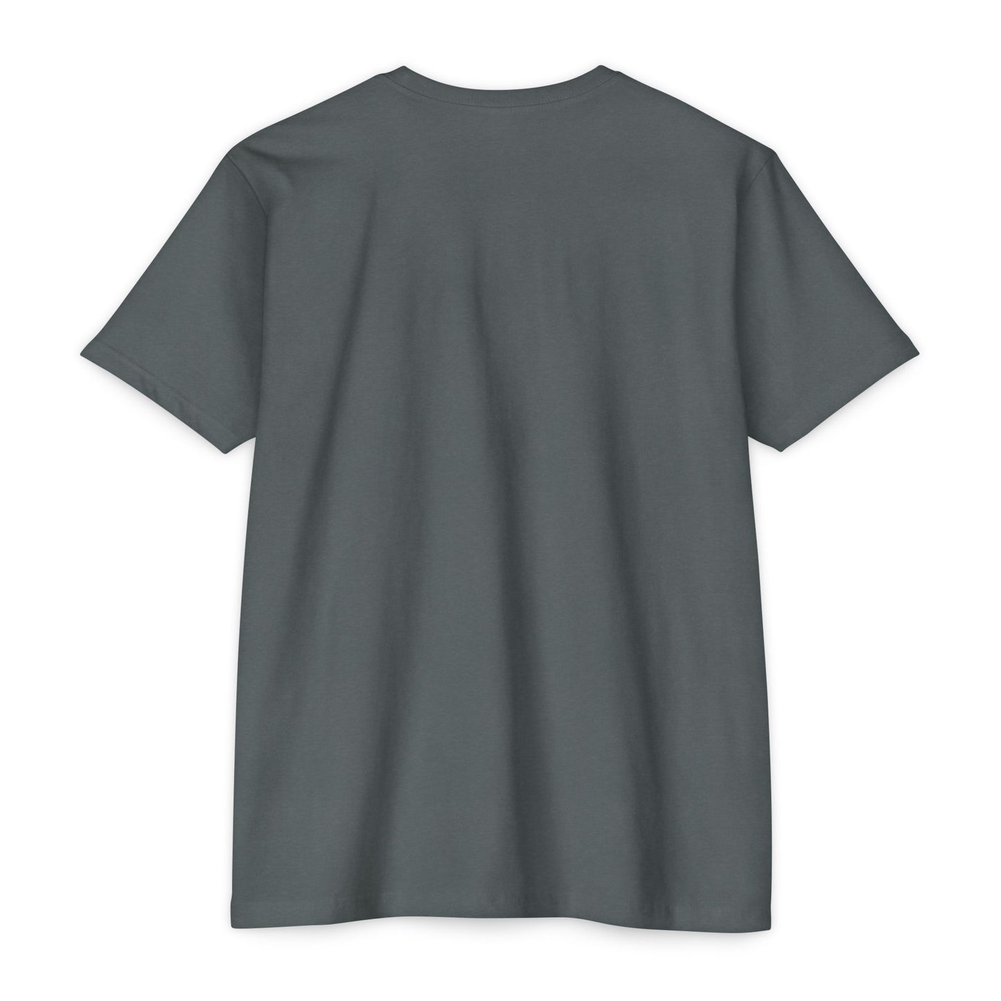 Air Assault Skull Wings T-Shirt — Military Airborne Paratrooper Tee