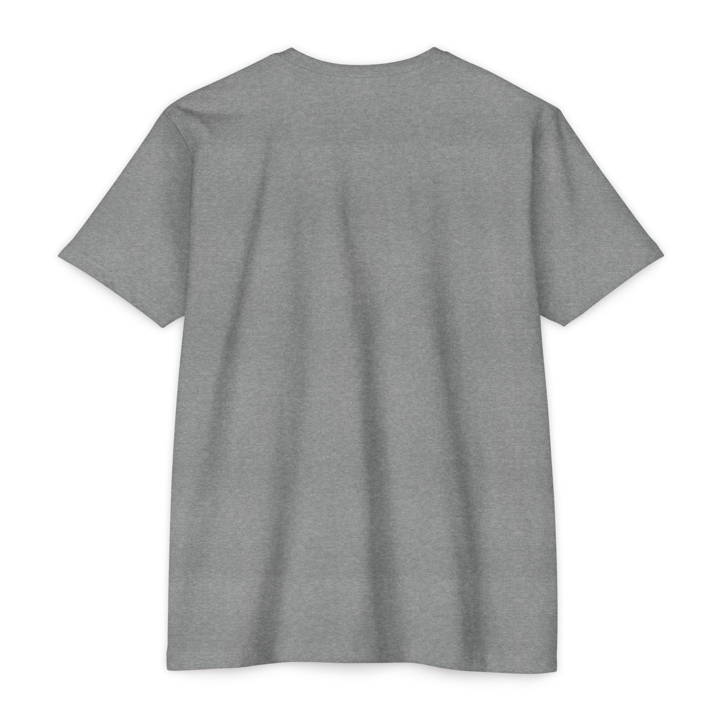 Air Assault Skull Wings T-Shirt — Military Airborne Paratrooper Tee