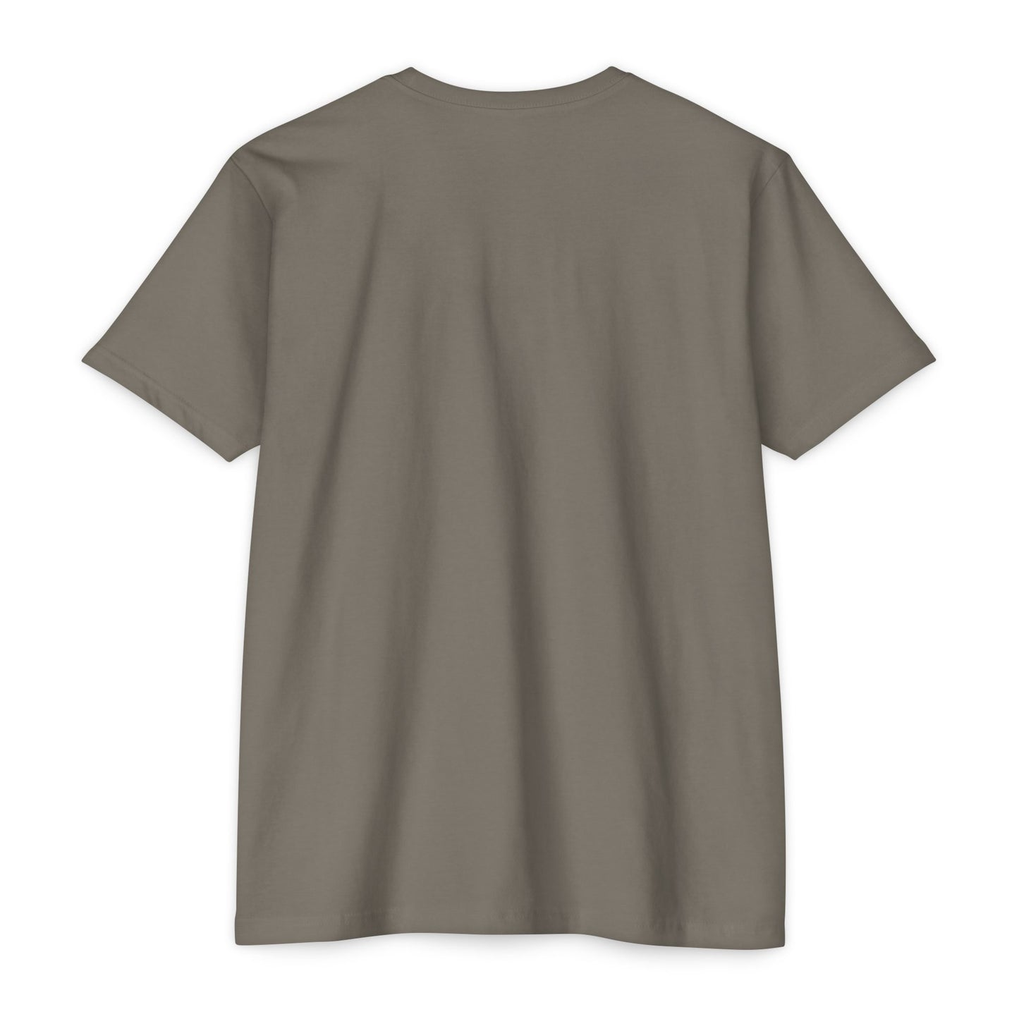 Air Assault Skull Wings T-Shirt — Military Airborne Paratrooper Tee
